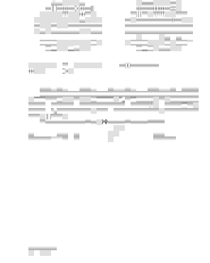 УВД Могилева